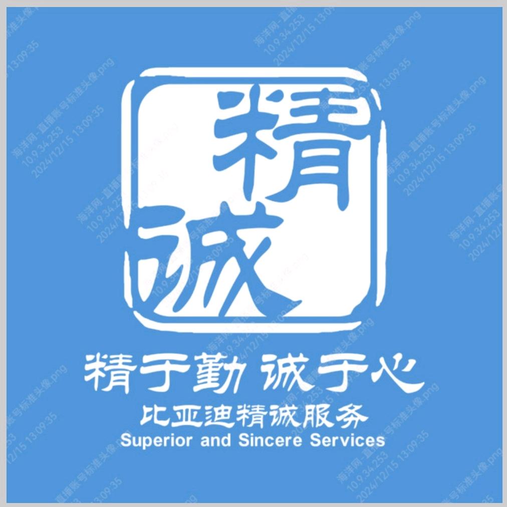 宁夏比亚迪兰德迪兴售后