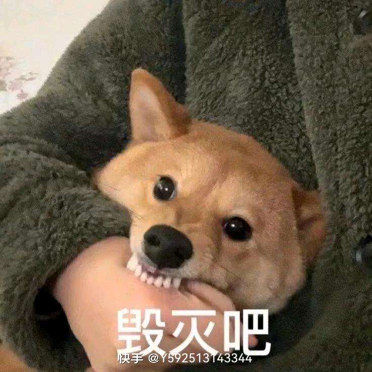 爱讲故事的