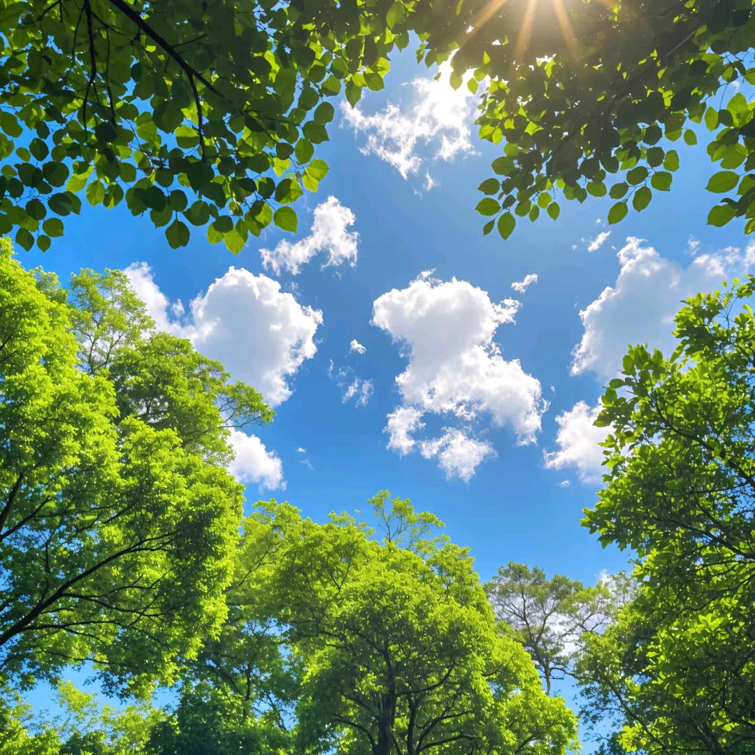 vagus being sunshine