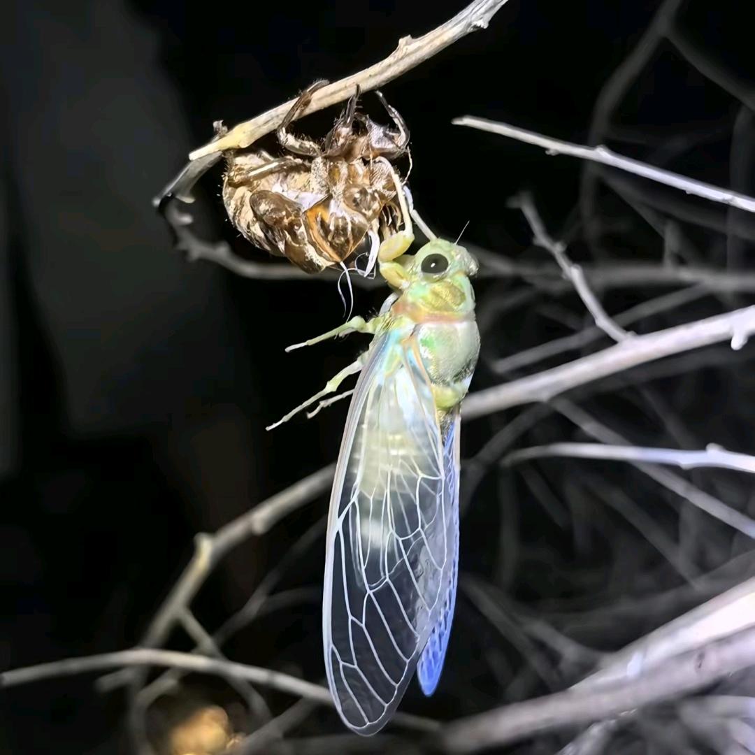 心安世界安