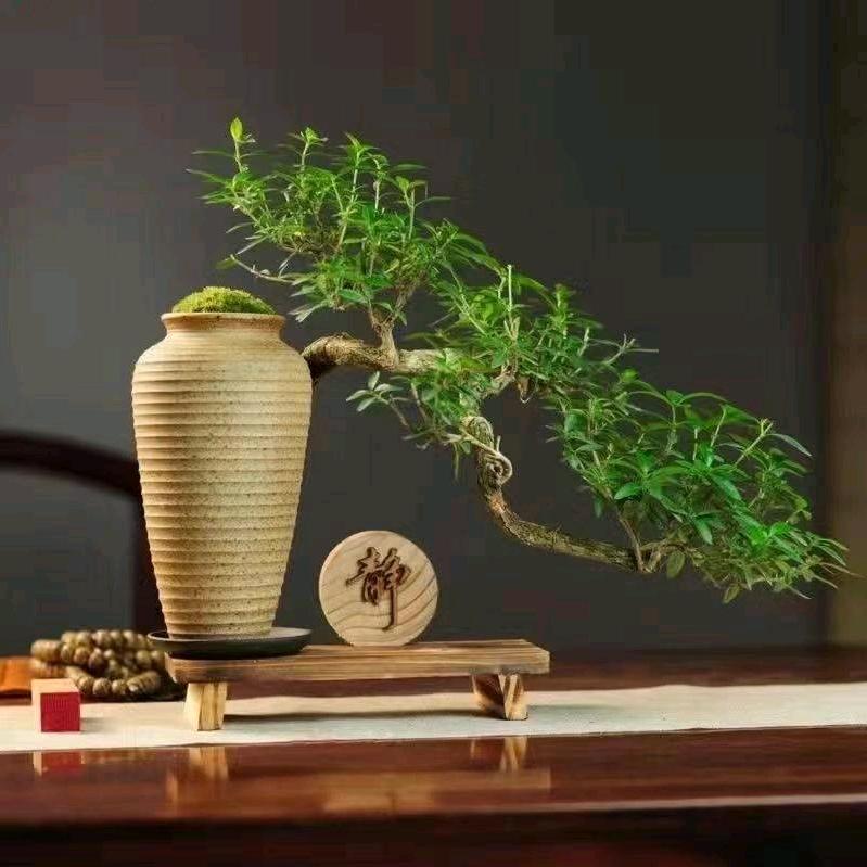 金哆福