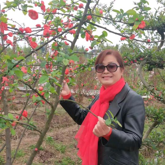 老胡就是我
