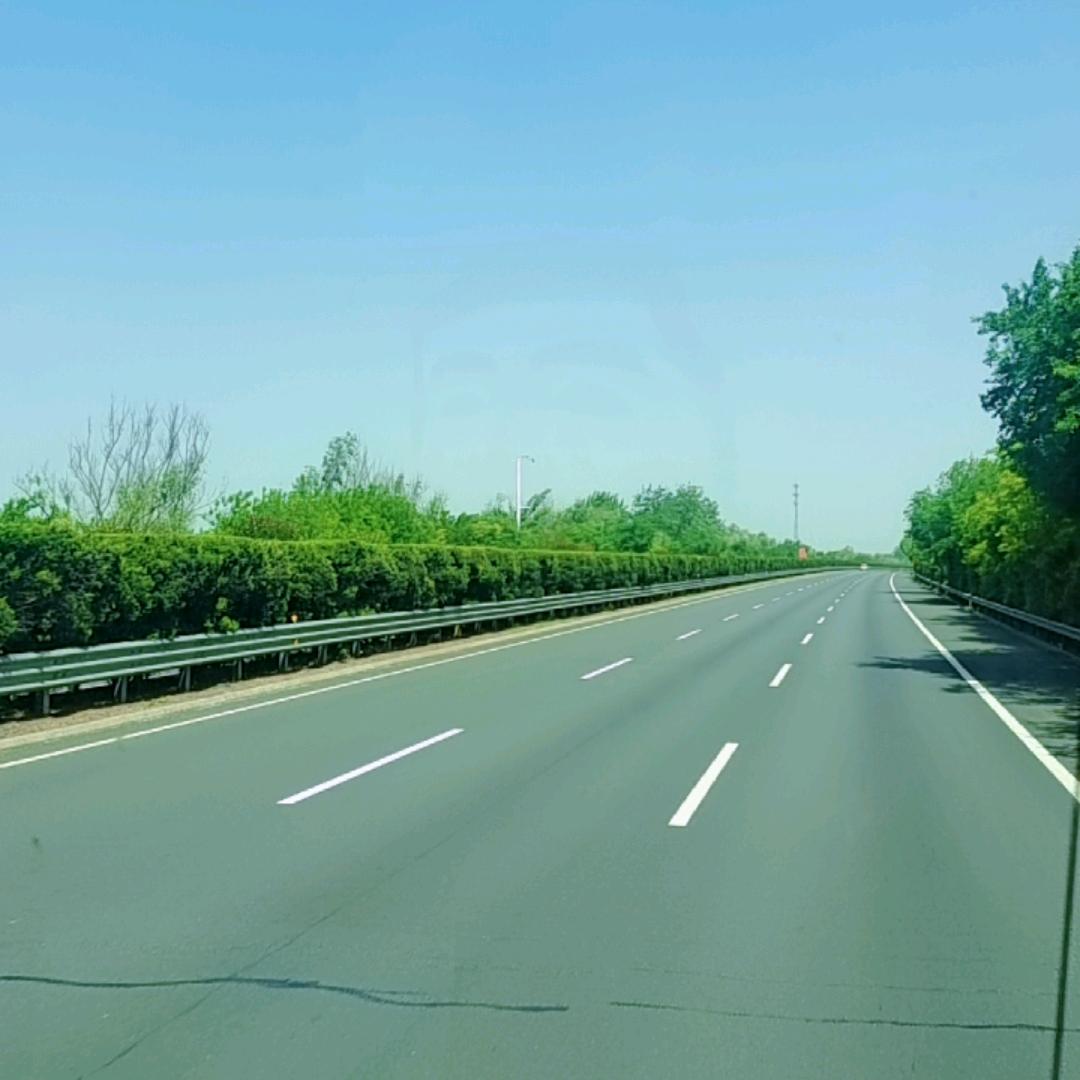 计划生育漏网之王多鱼