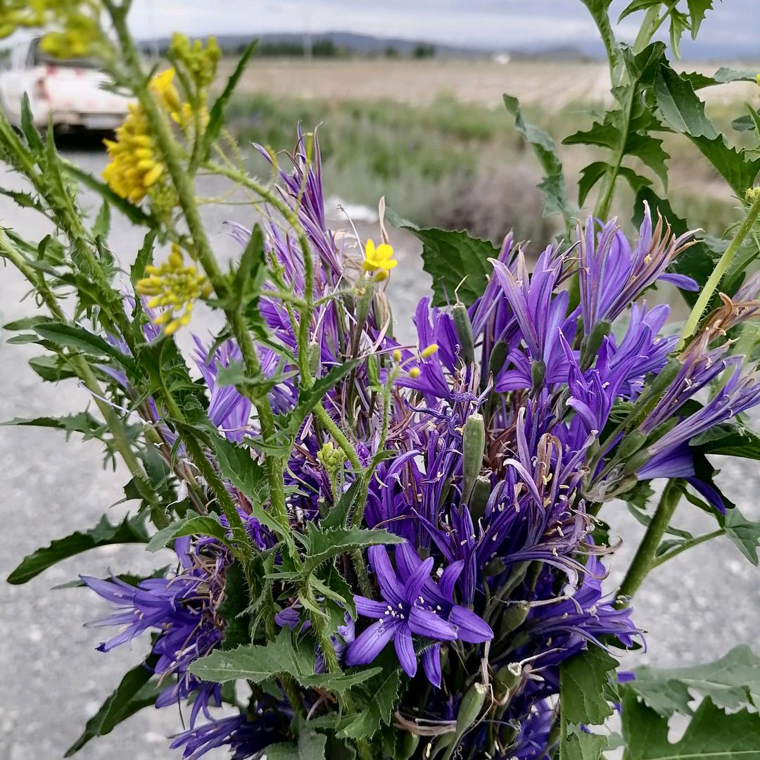 人生就像一场梦