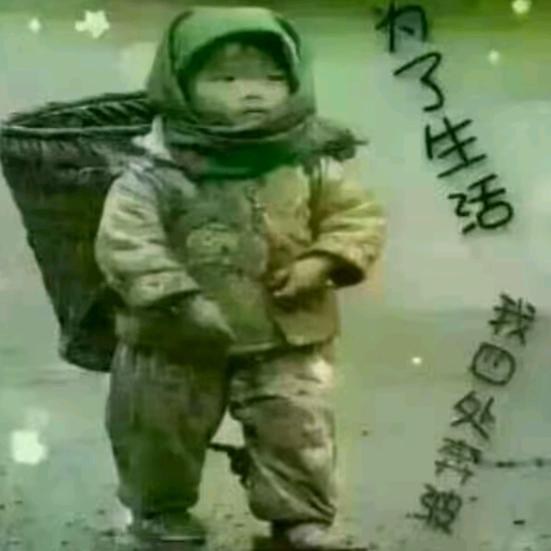 乔哥一切靠自己