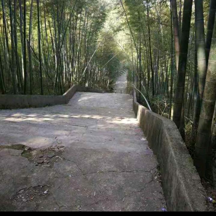 @电梯司机苏美玲，努力挣钱，加油！，