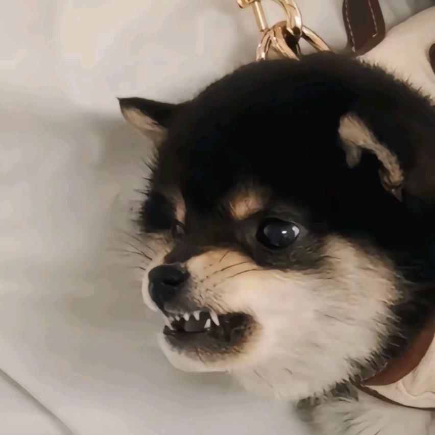 ¹个甜妹罢（〜^∇^)〜
