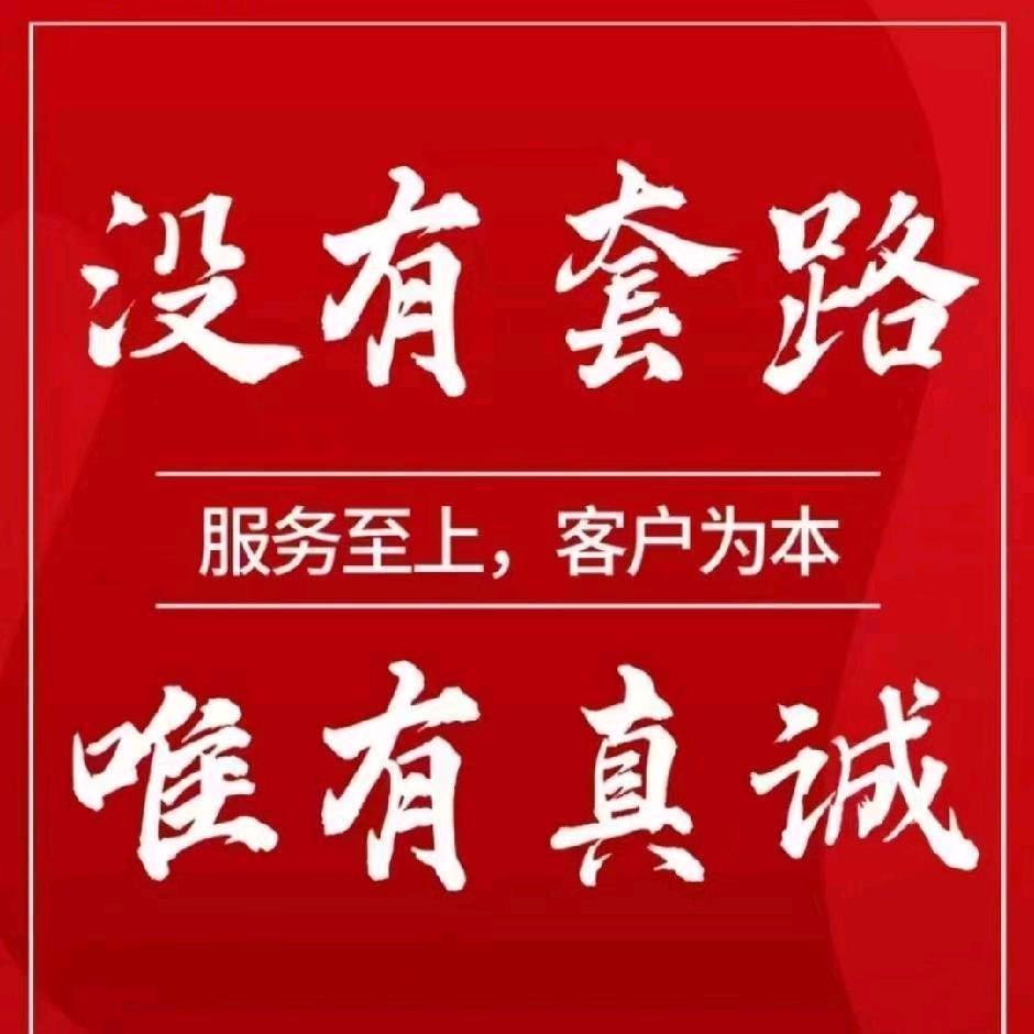 举头望明月