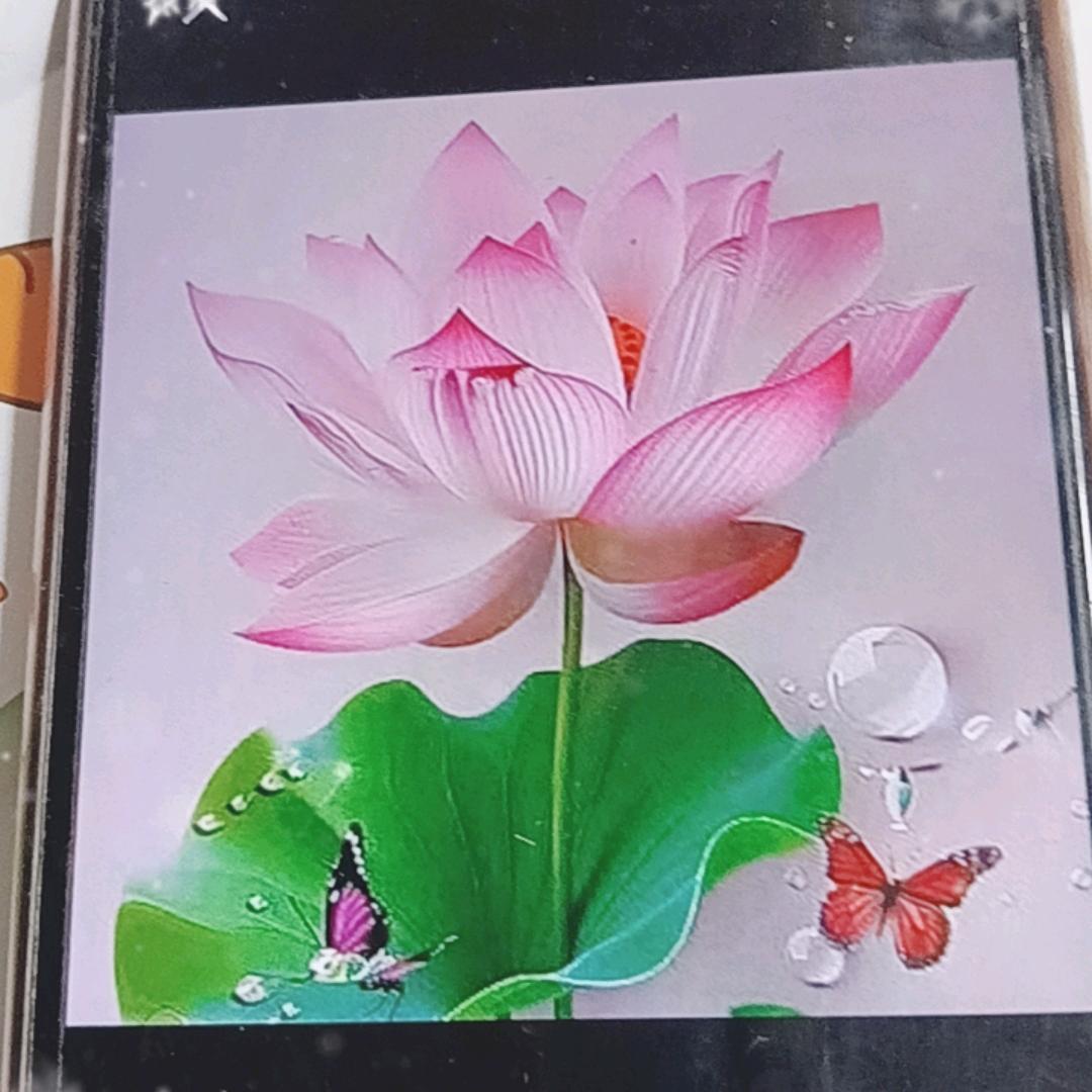 覃