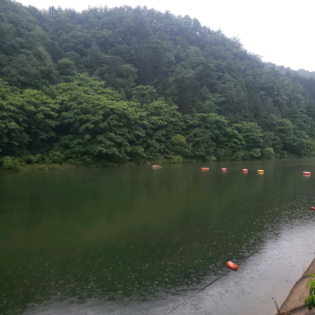 （…^O^-.-^O^…）