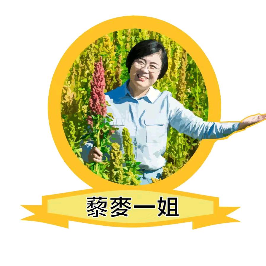 藜麦一姐：源味武川特产