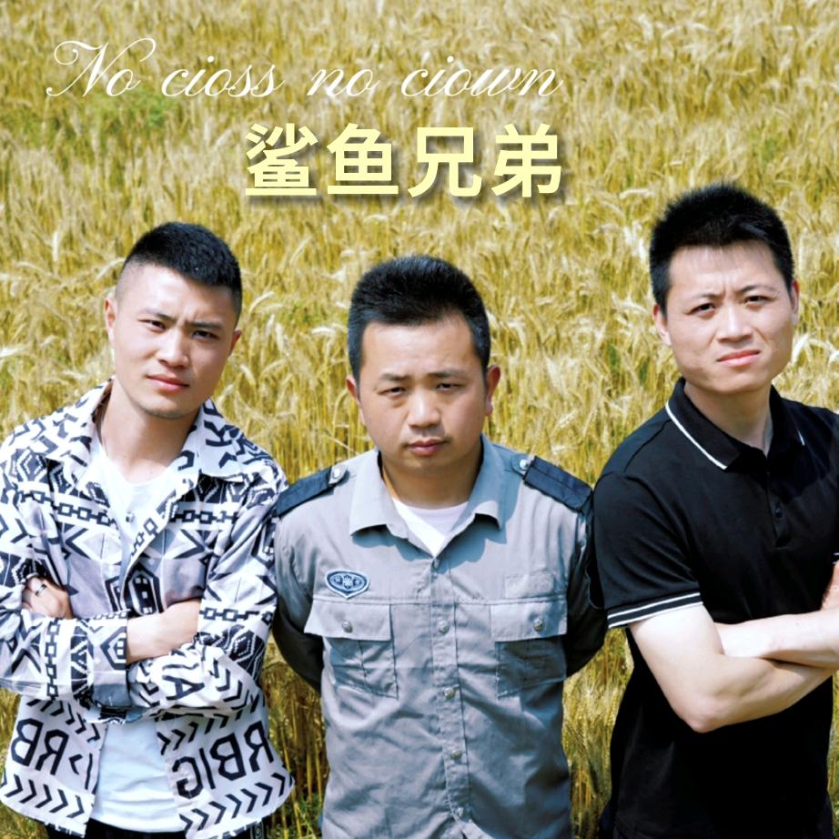 鲨鱼兄弟
