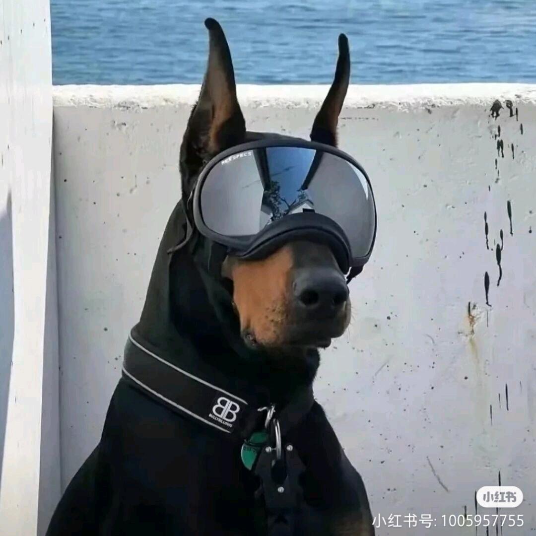 霜林醉