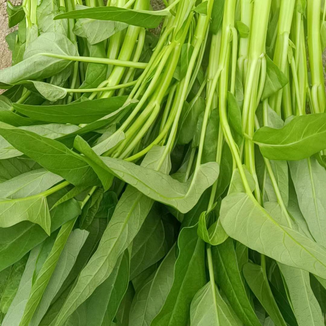 小谢果蔬