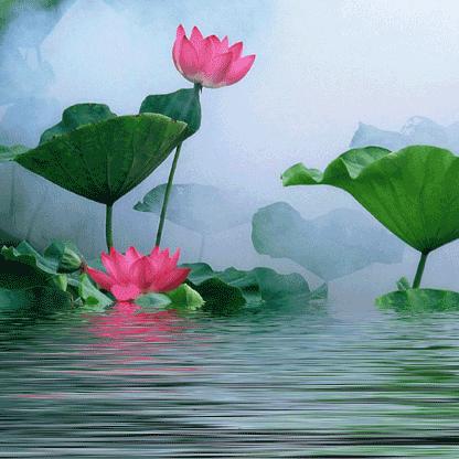 堪舆风水