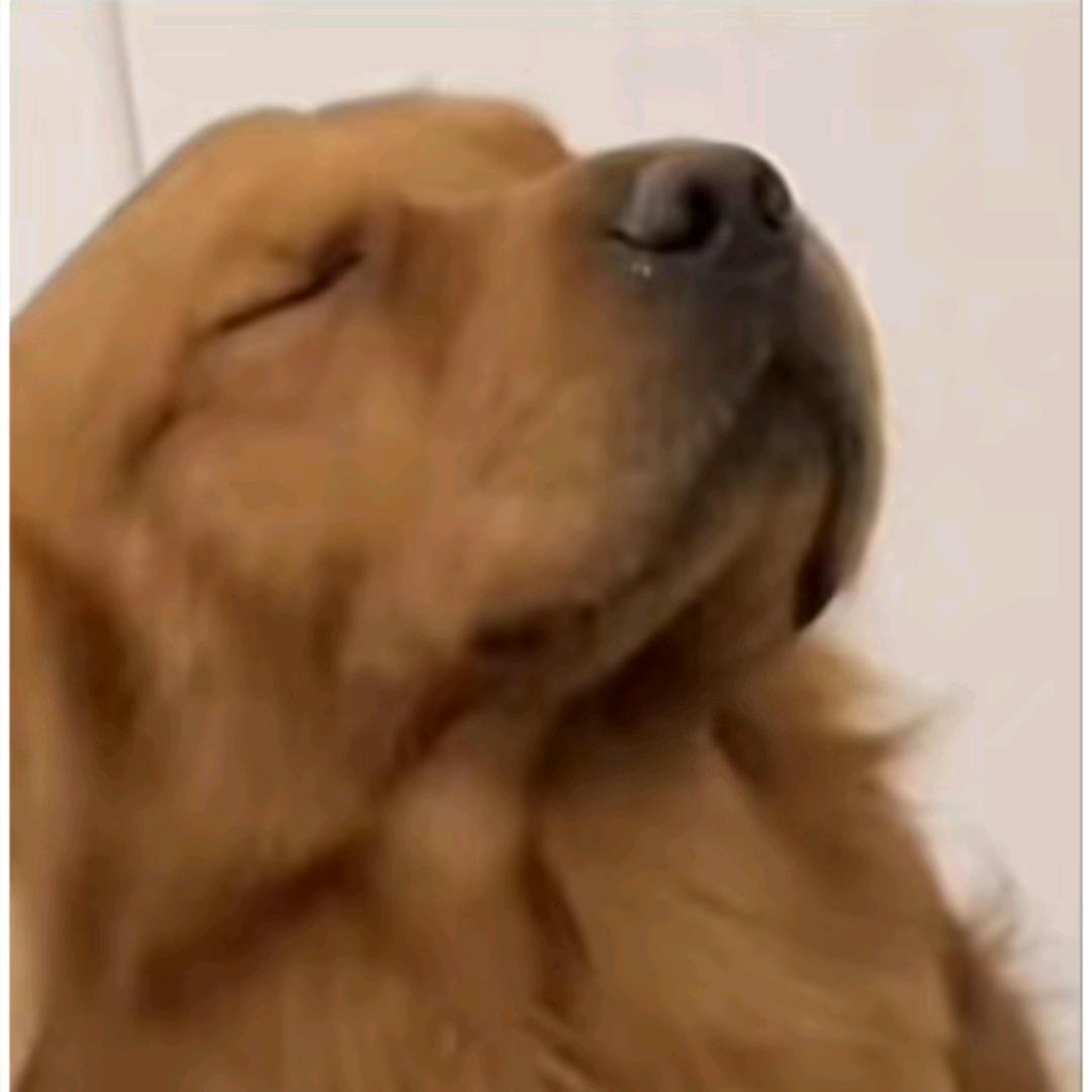 叫我菠萝