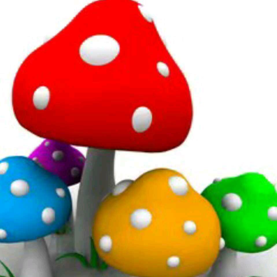 〆纠缠在梦里的那些回忆