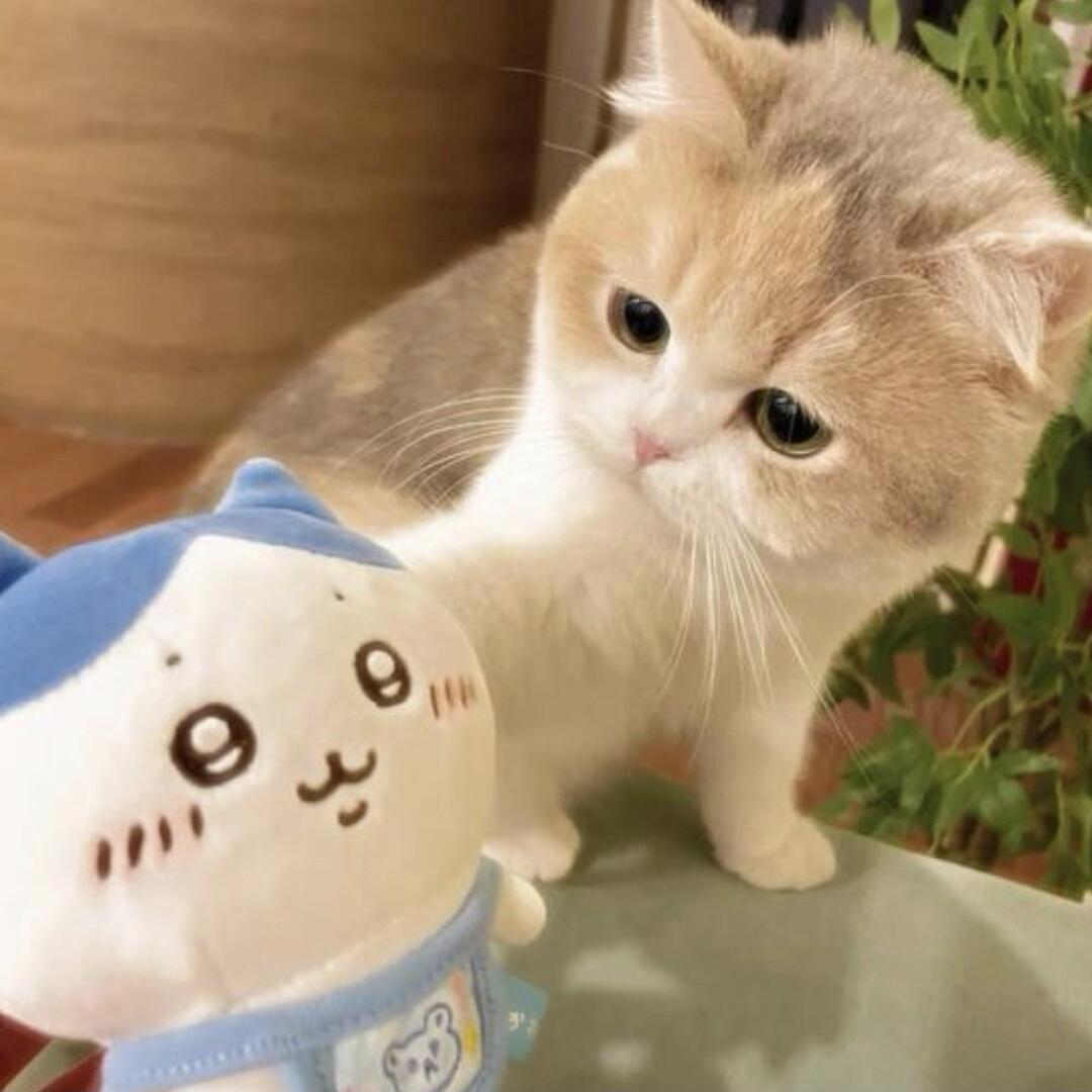 にに、