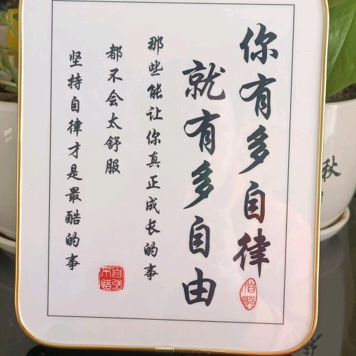 陈红