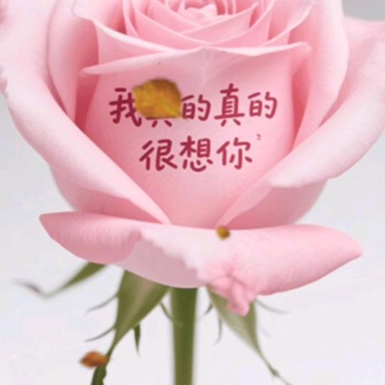 思念