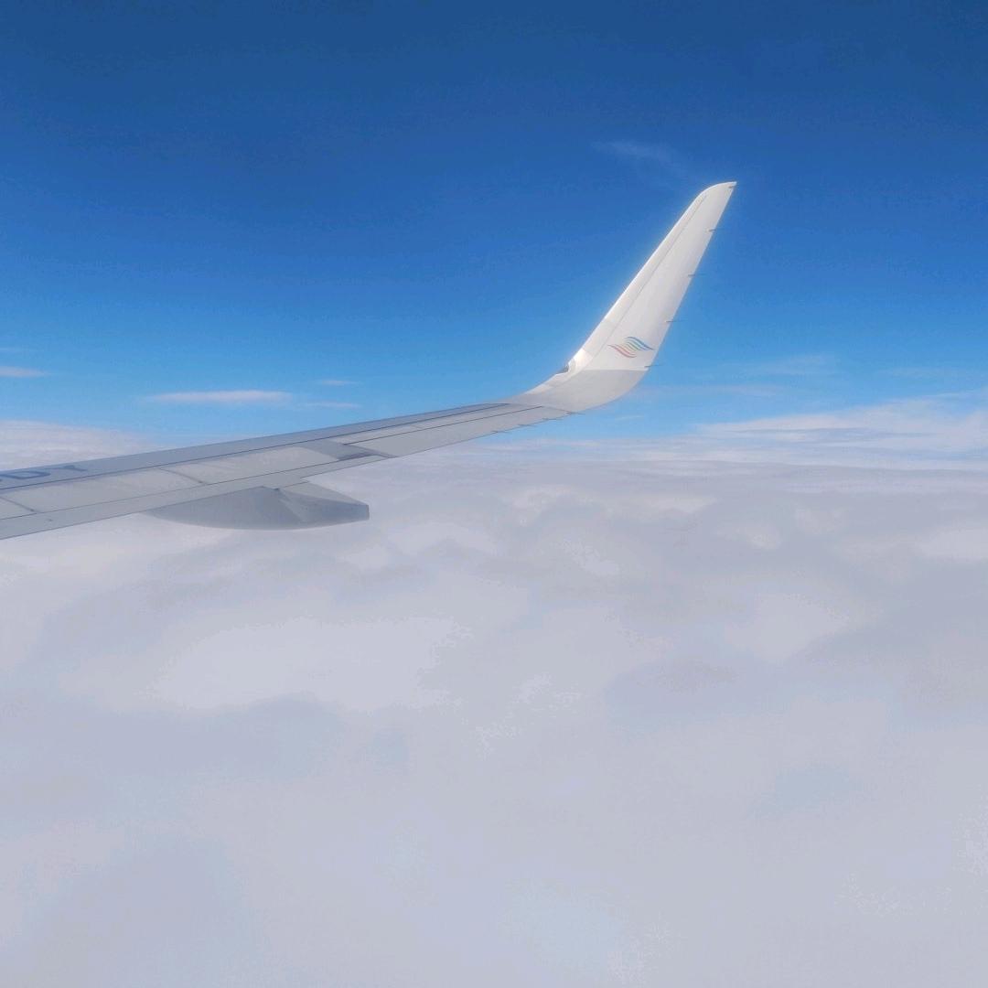 WWW