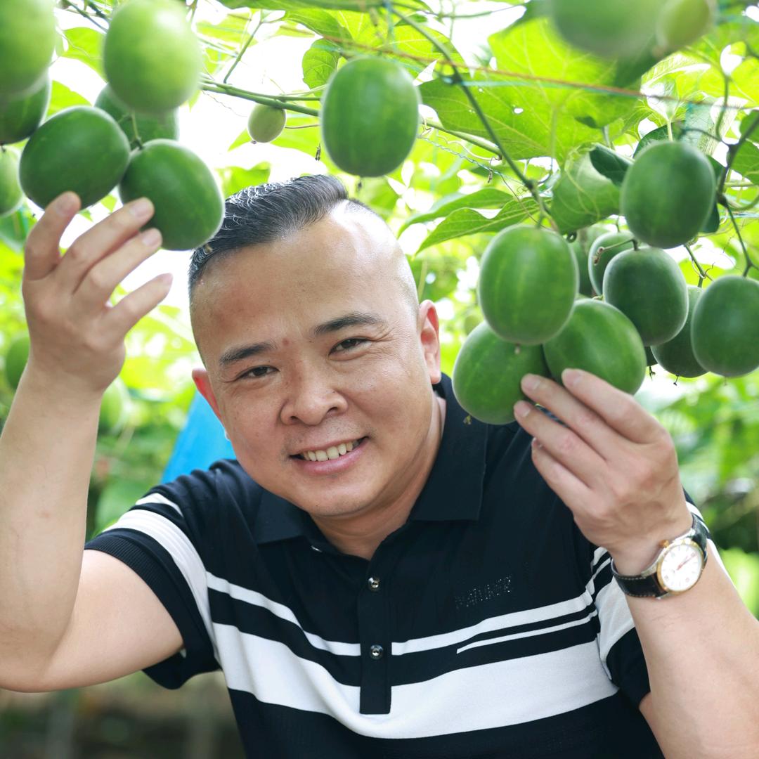 华皓罗汉果