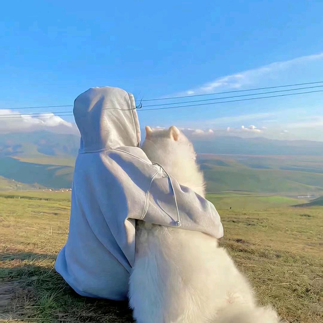 磊磊故事会