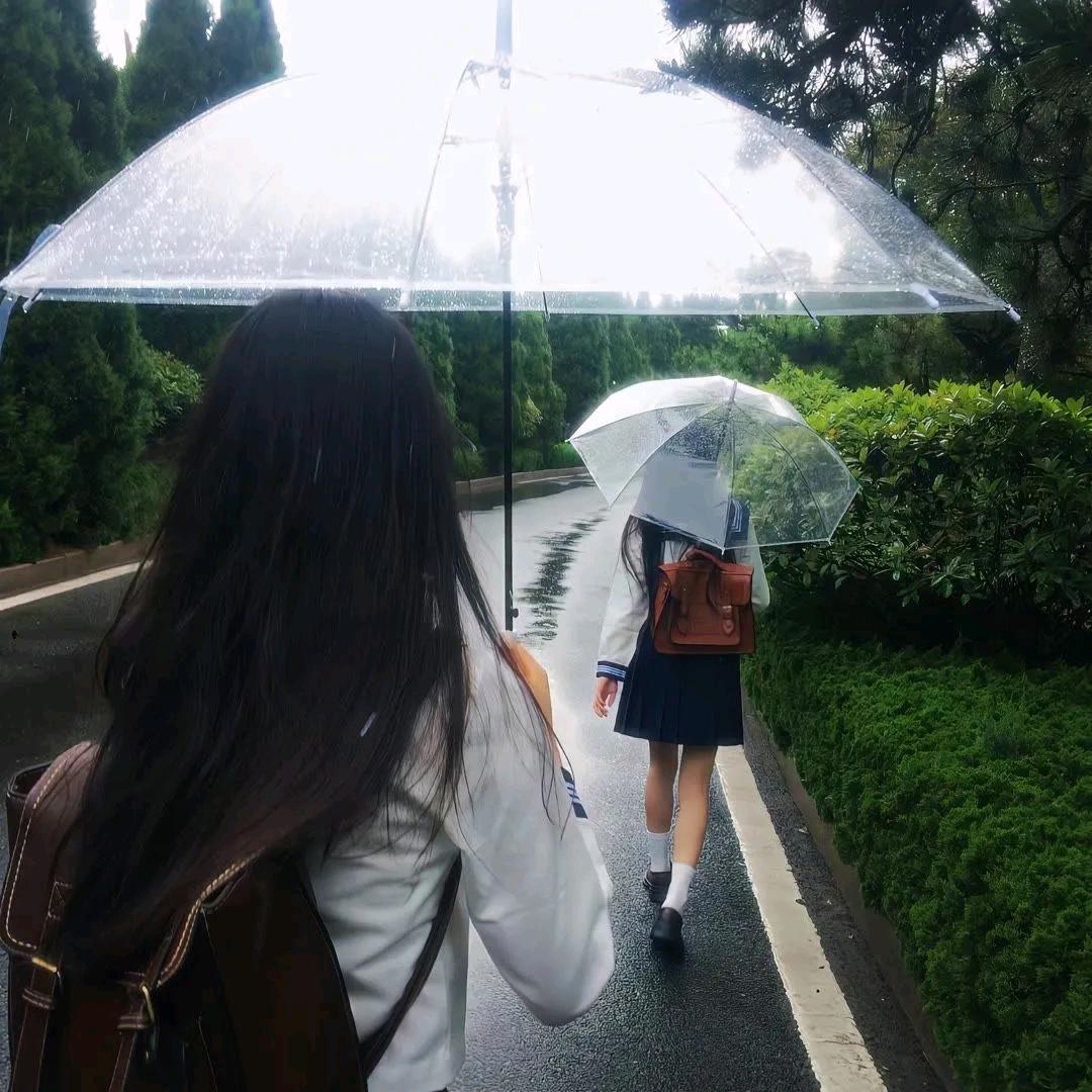 夏天的栀枝花