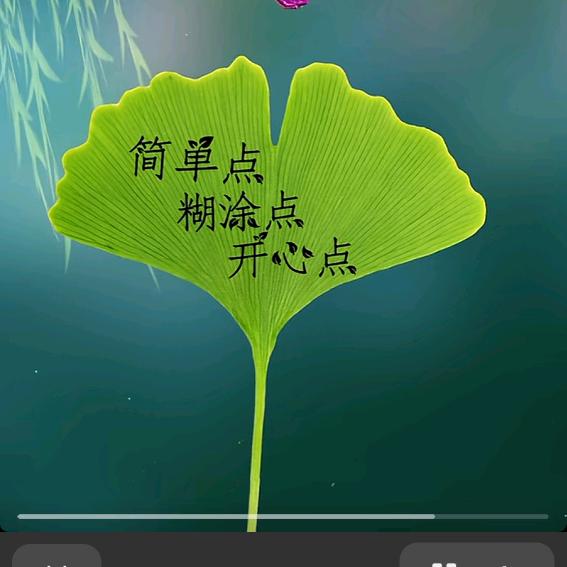 🌟搬砖兄弟🦋