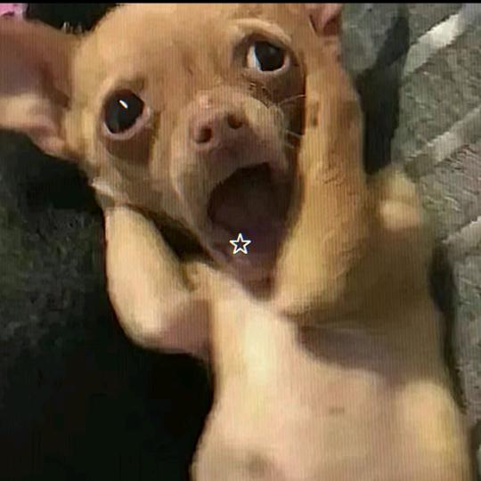 IKUN