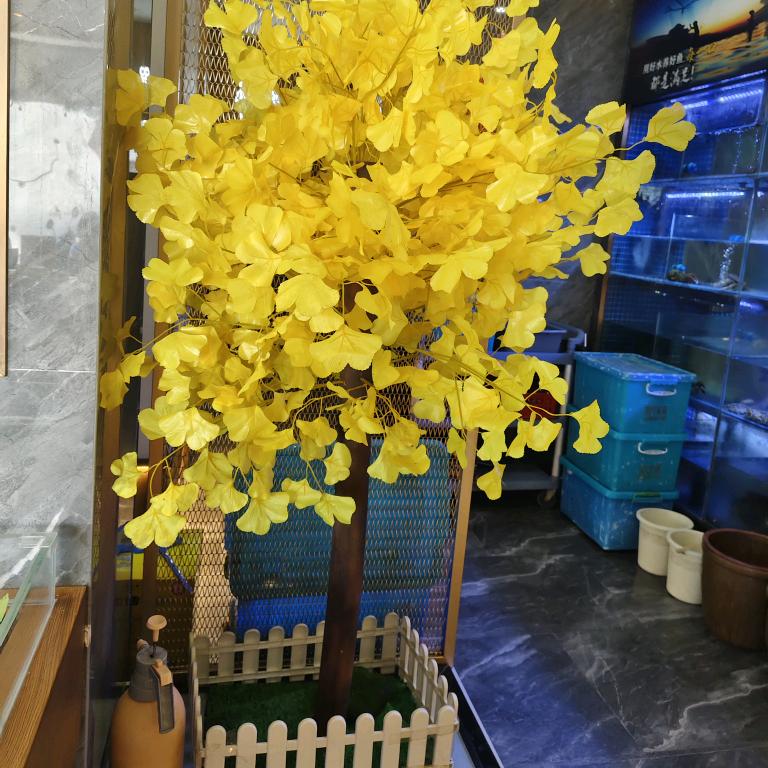 飞奔的狗狗😊😊