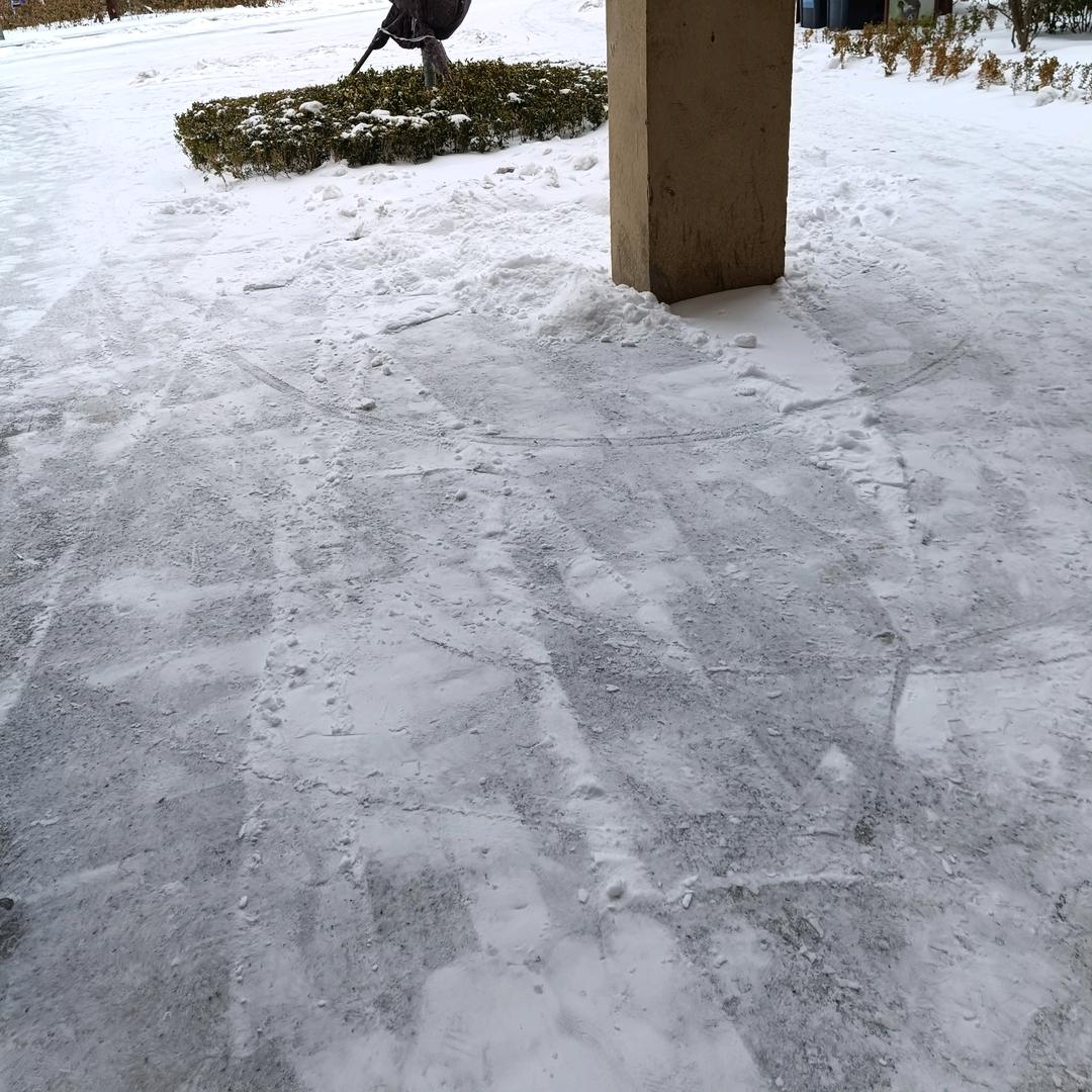 随风者