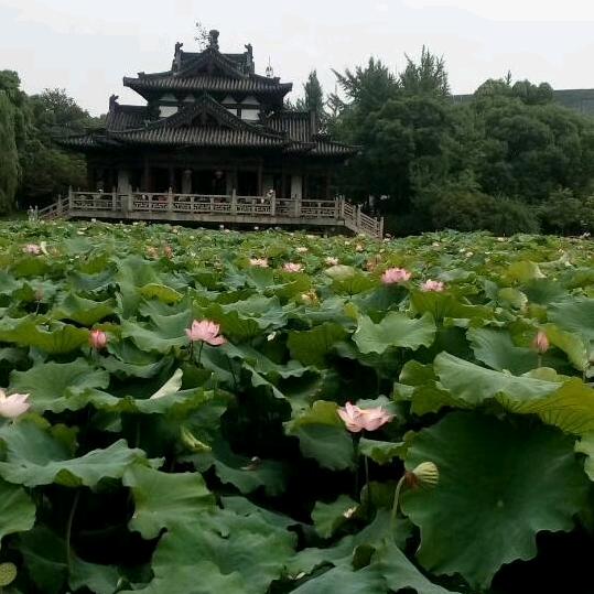 曾经心痛