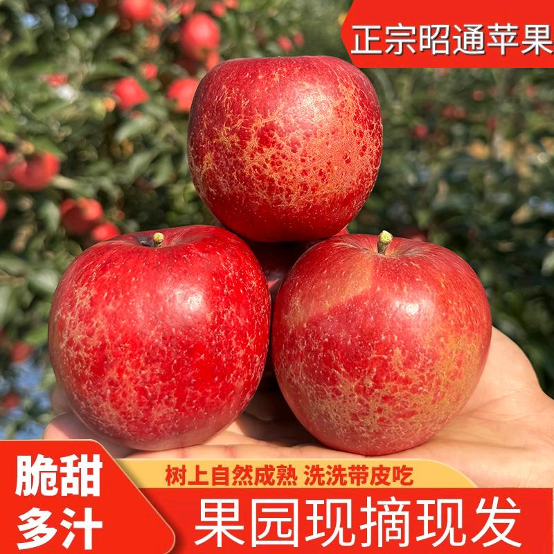 富波果铺