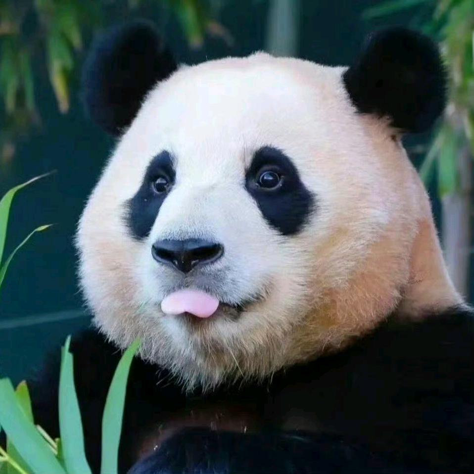 L u
