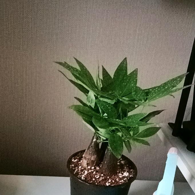 缘来缘去