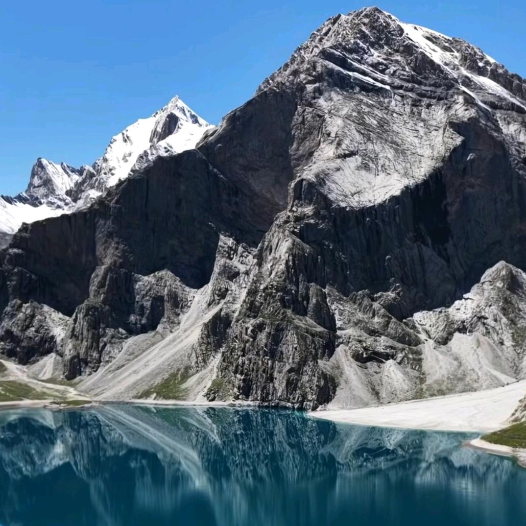 一顿不吃饿的黄