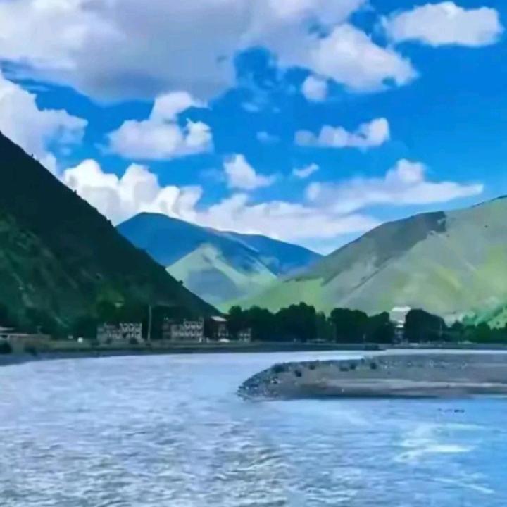 T  cm