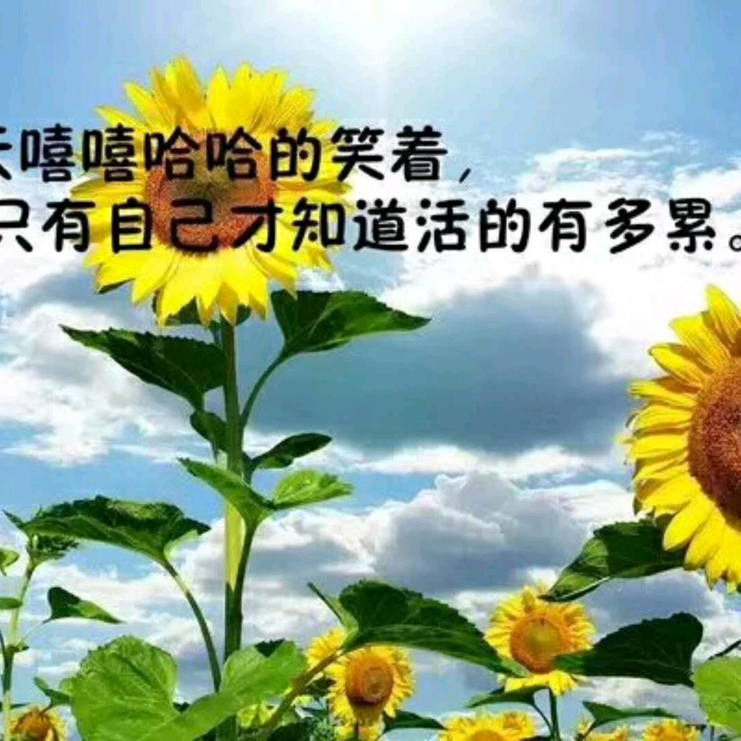 岚妹