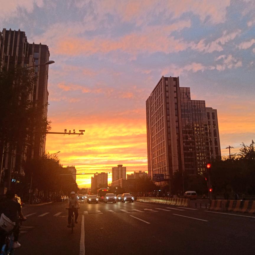 🇨🇳花海🇨🇳