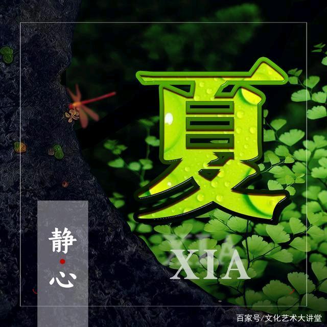 夏小姐