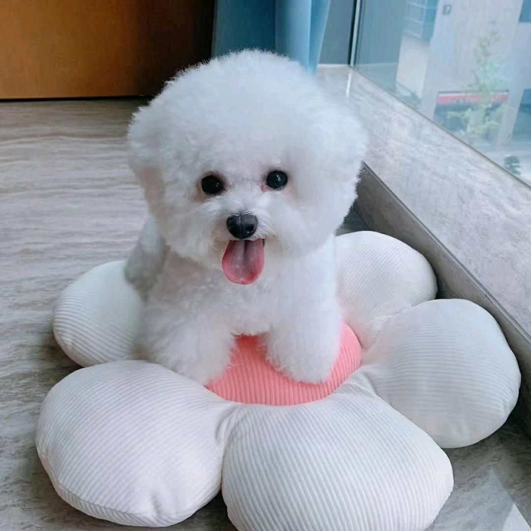 ^晴天