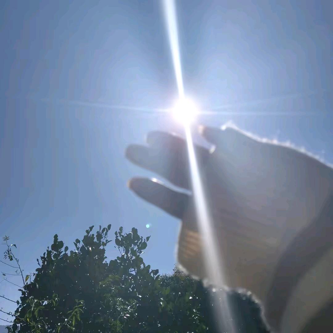 半🍒夏᭄💞看世界-✈️