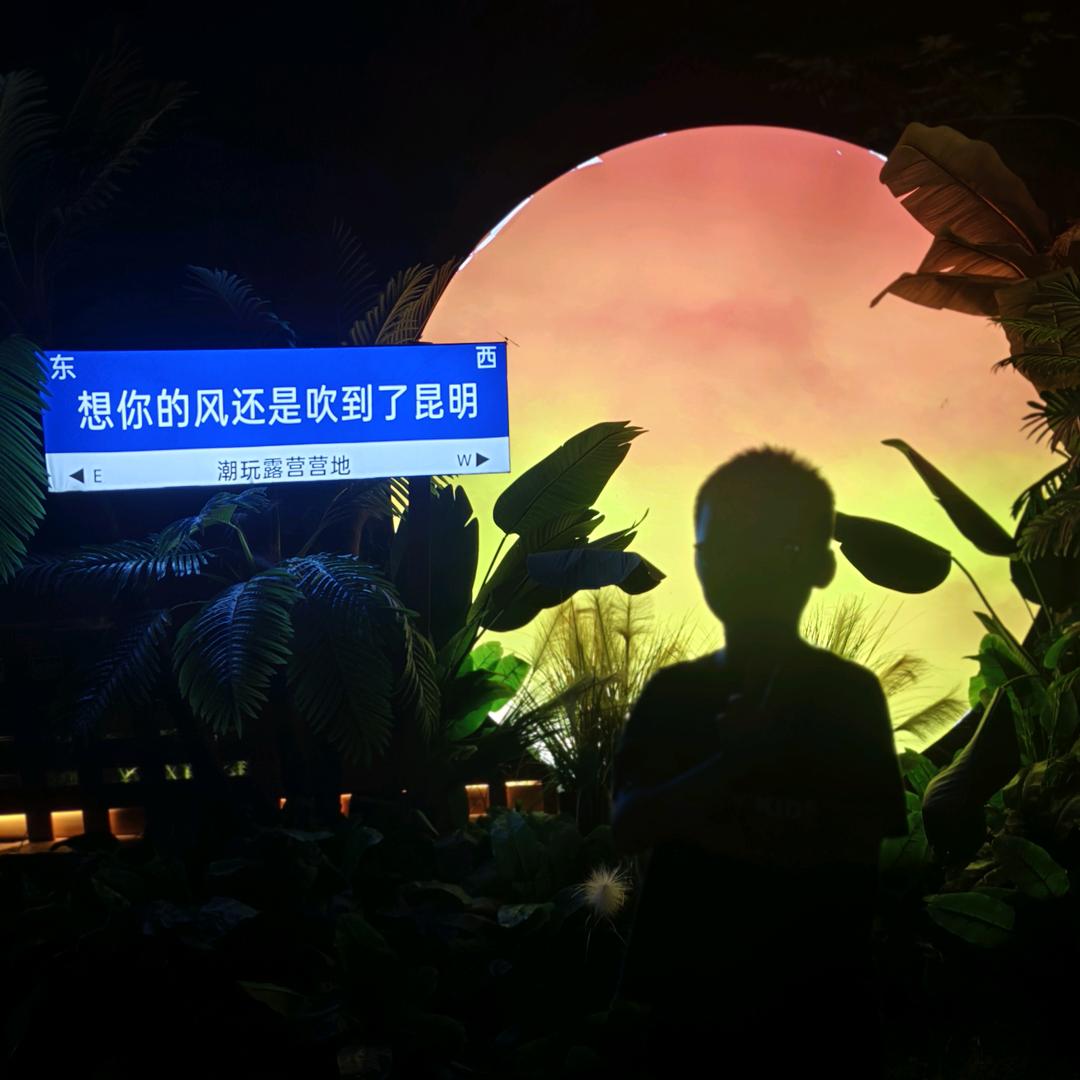 杨小喵🐱