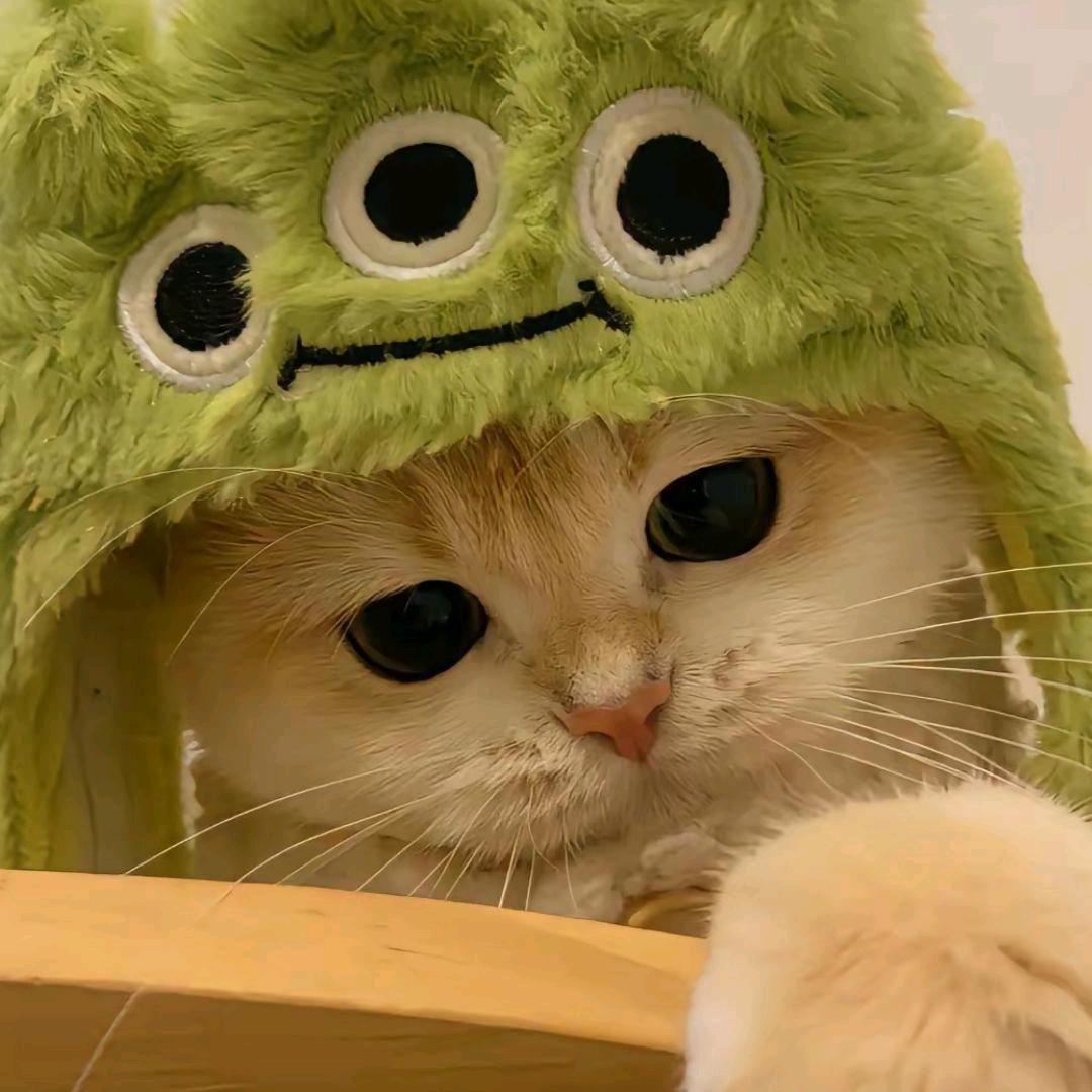 一只圈er～