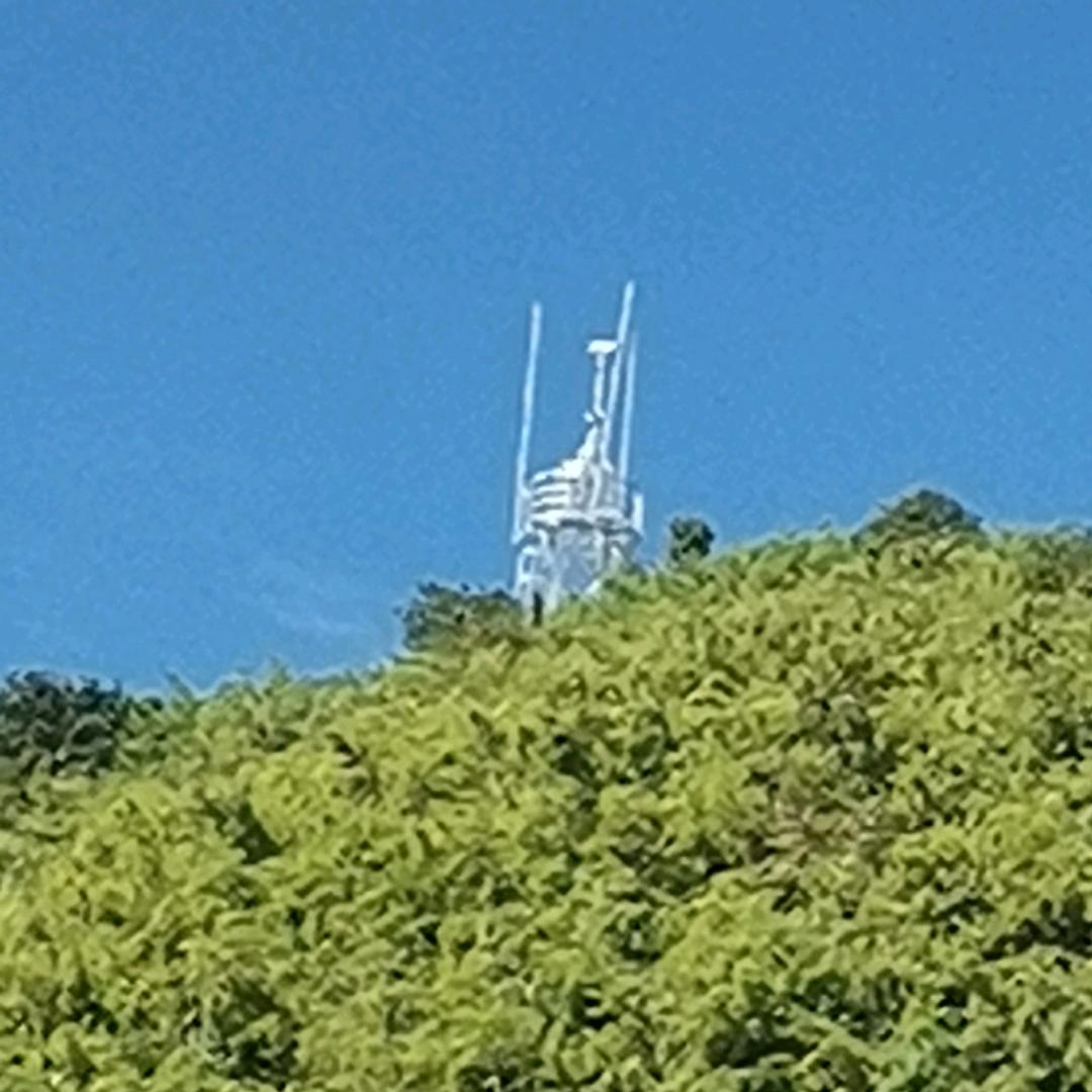 樱桃好吃树难栽