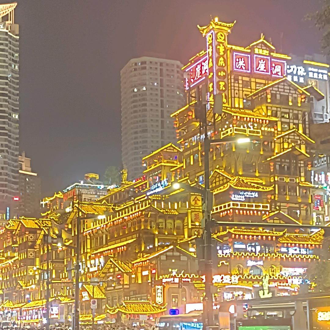 我家的小猫叫《岁岁》