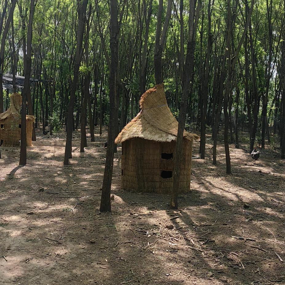 我爱我家