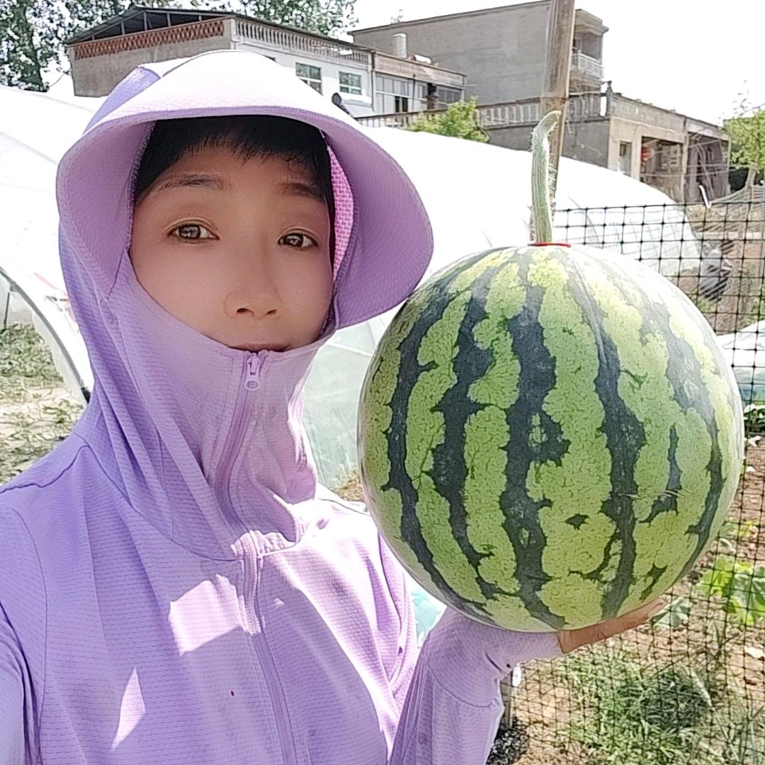 台州瓜农素姐