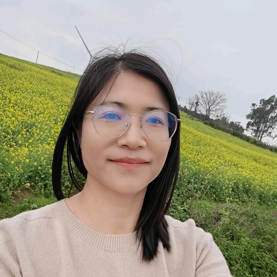 燕子妃飞
